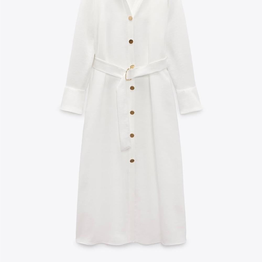Zara NWT Belted Shirtdress